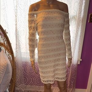 Elegant Off-Shoulder Lace Dress